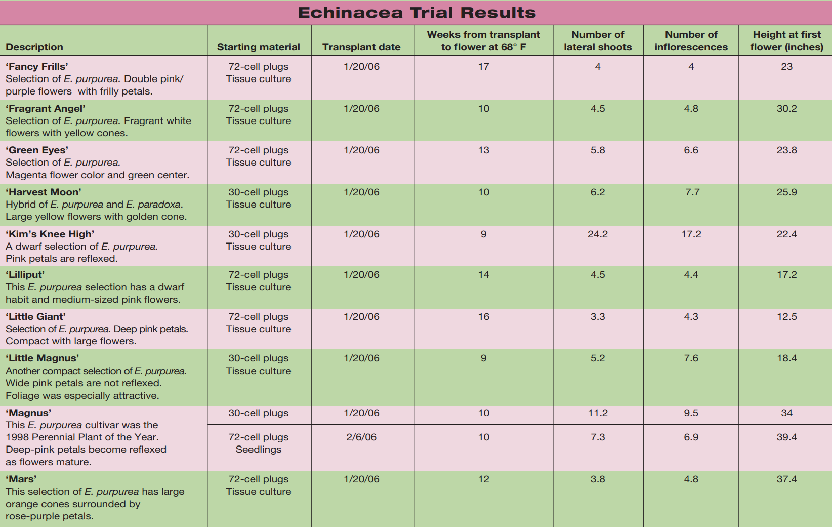 Evaluating new Echinacea cultivars tb 1